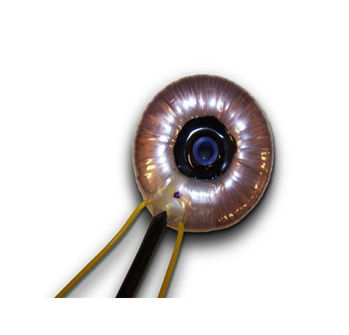 TRF-1205/4T 100-230 - Toroidní trafo 230V / 4x (12V/1.25VA)