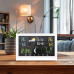 Solight meteostanice