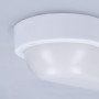 Solight LED venkovní osvětlení oválné, 13W, 910lm, 4000K, IP54, 21cm